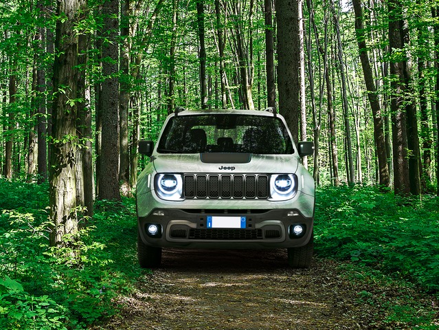 Renegade 1.3 T4 240CV PHEV 4xe AT6 Trailhawk - E1