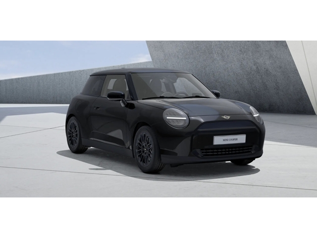 Mini All Electric